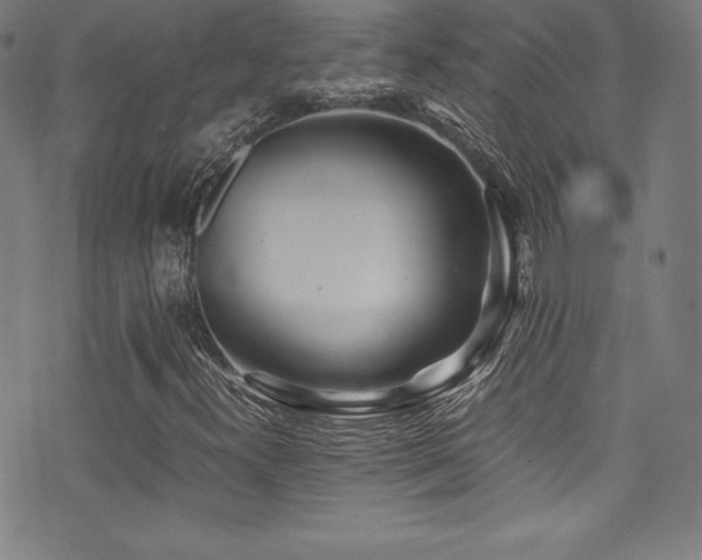 X0000073471300200607281232