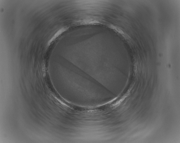 X0000073471306200607281232