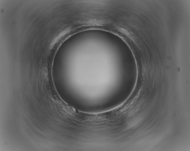 X0000073471307200607281232