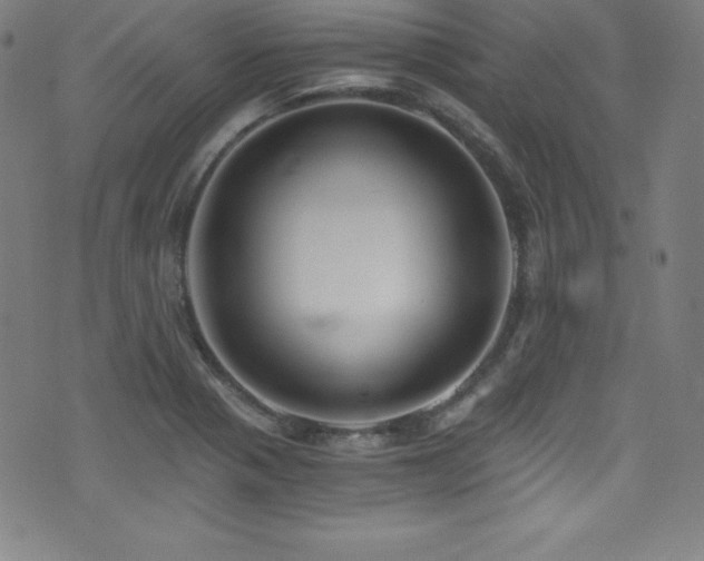 X0000073471321200607281233