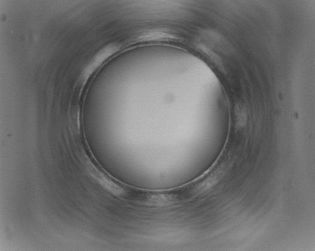 X0000073471322200607281233