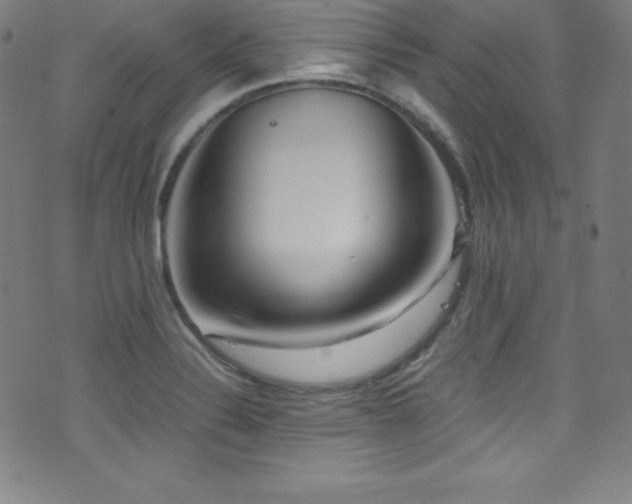 X0000073471324200607281233