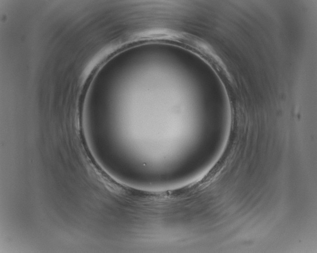 X0000073471328200607281233