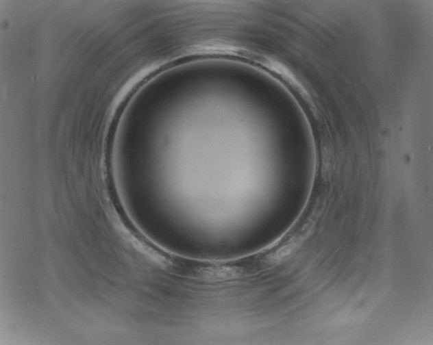 X0000073471331200607281233