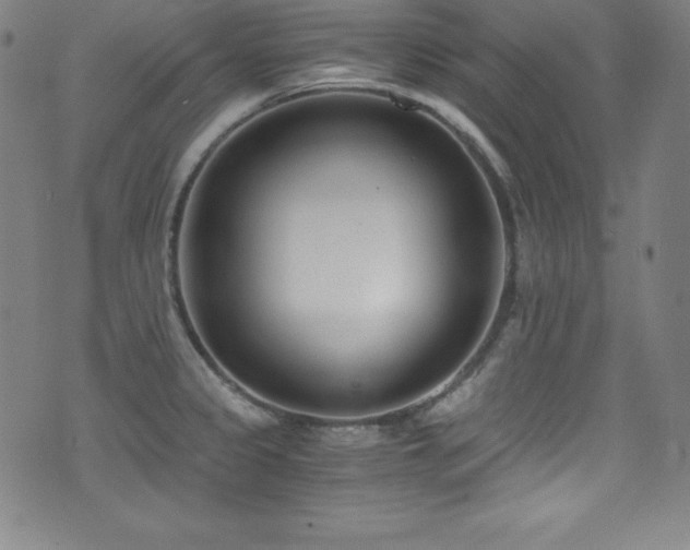 X0000073471333200607281233