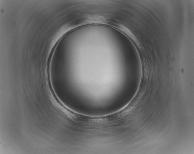 X0000073471339200607281233