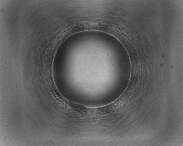 X0000073471345200607281232