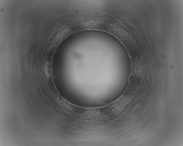 X0000073471346200607281232