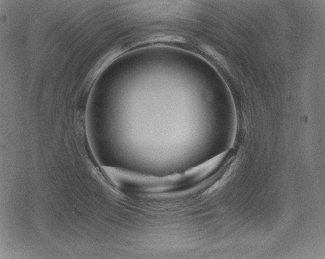 X0000073471369200607281232