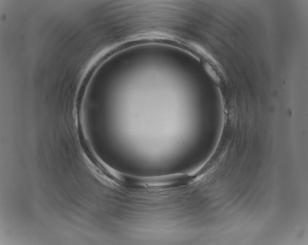 X0000073471372200607281232