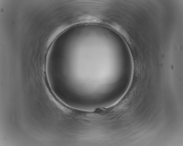 X0000073471383200607281232