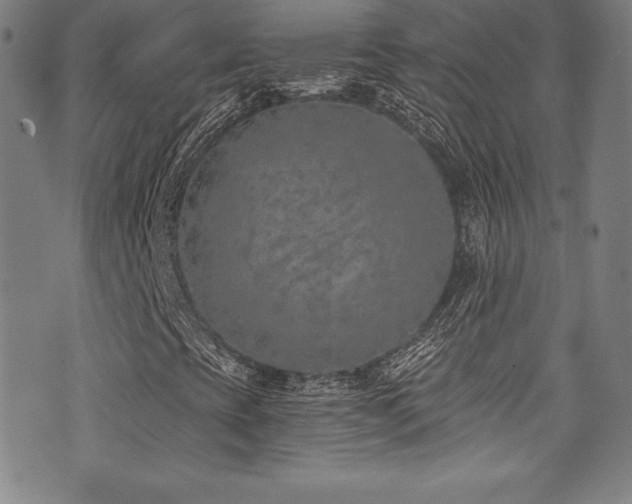 X0000073471393200607281231