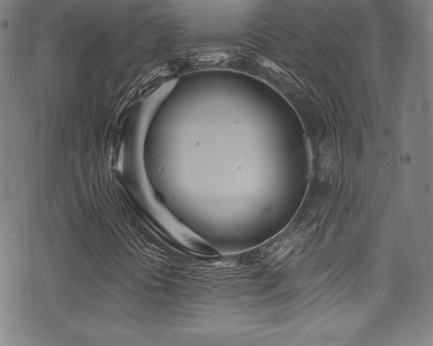 X0000073471394200607281231
