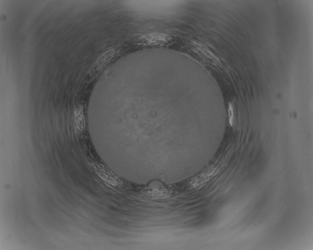 X0000073471395200607281231