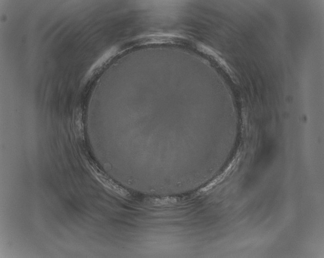 X0000073471403200607281231