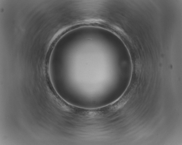 X0000073471412200607281231