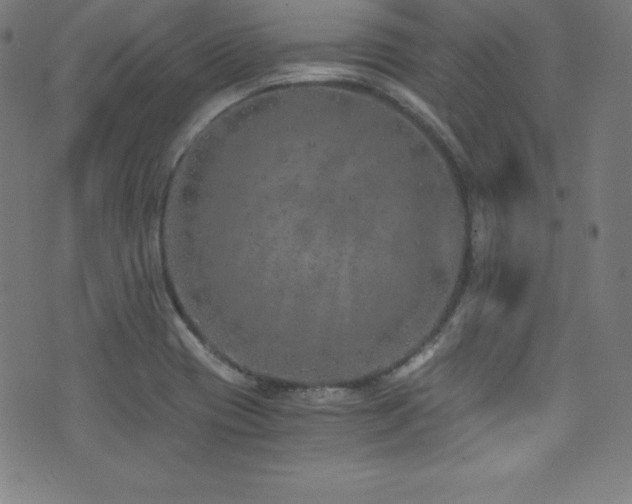 X0000073471417200607281231