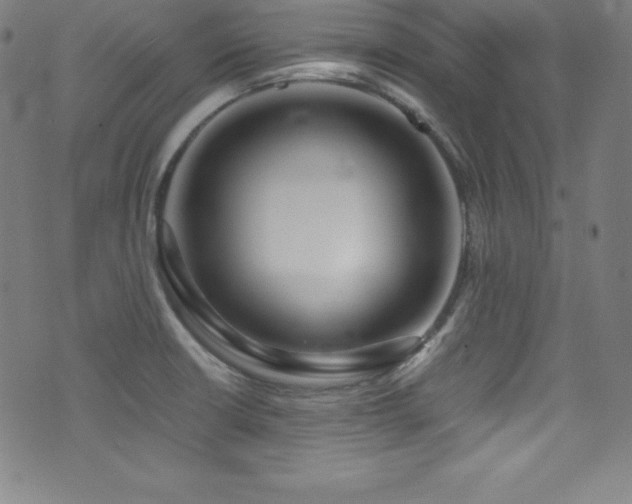 X0000073471426200607281231