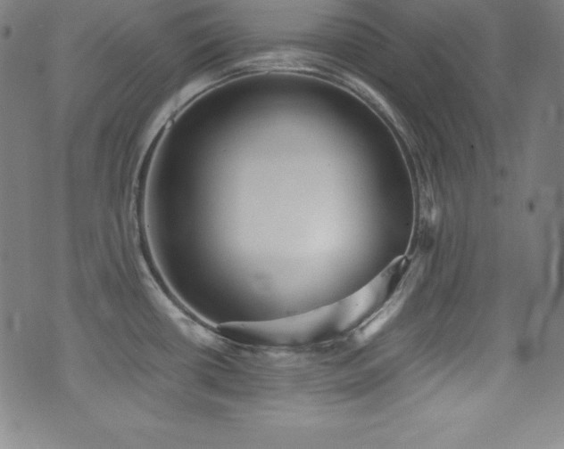 X0000073471434200607281231
