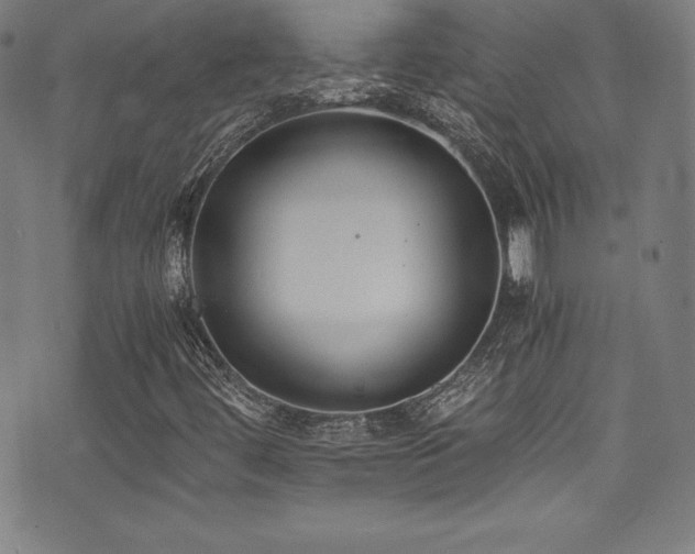 X0000073471444200607281231