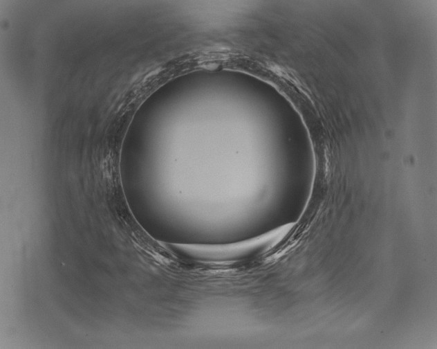 X0000073471445200607281231