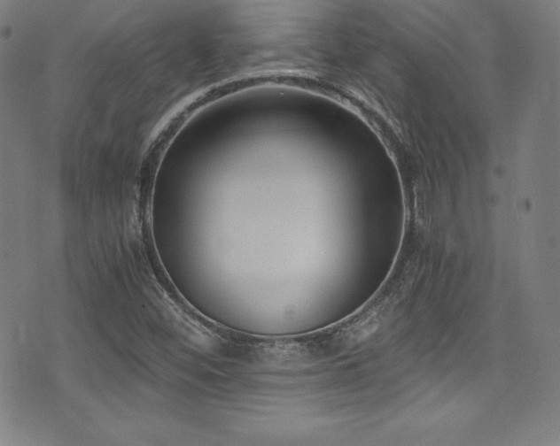 X0000073471452200607281231