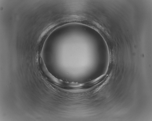 X0000073471453200607281231
