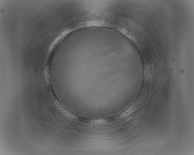 X0000073471454200607281230