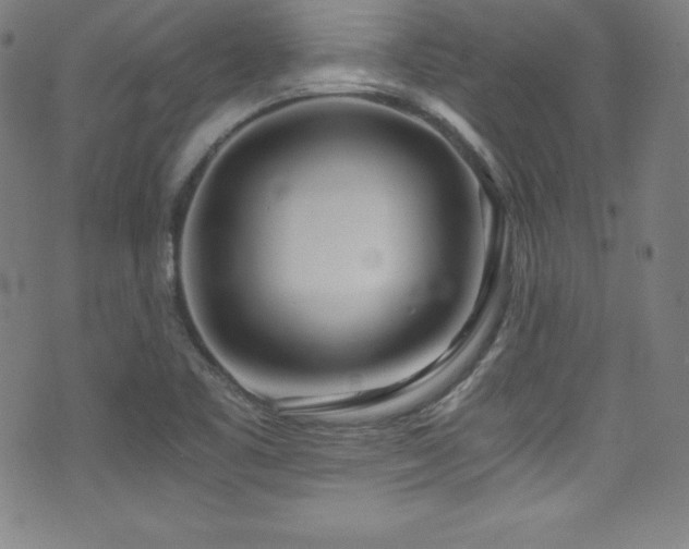 X0000073471461200607281230