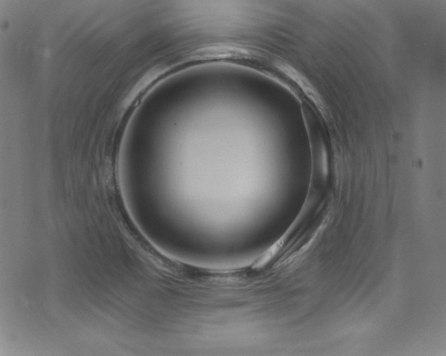 X0000073471465200607281230