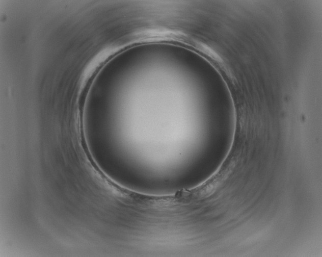X0000073471472200607281230