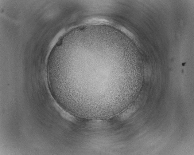 X0000073471478200607281230