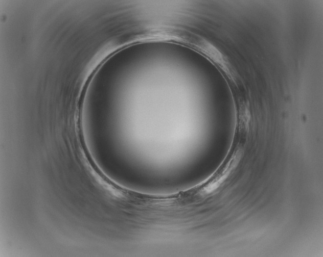 X0000073471484200607281230