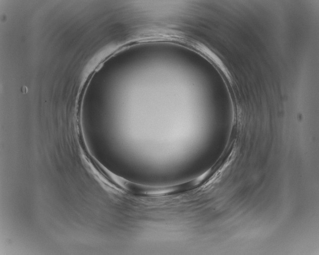 X0000073471485200607281230
