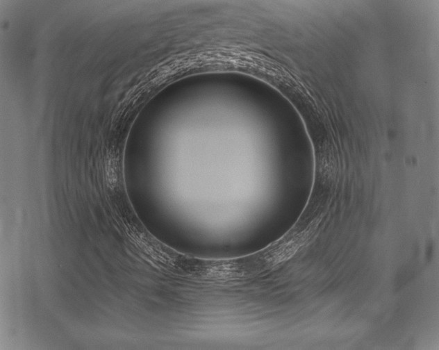 X0000073471490200607281229