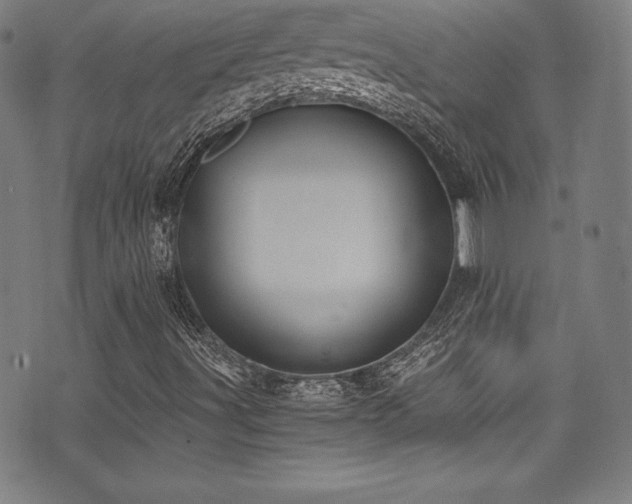 X0000073471491200607281229