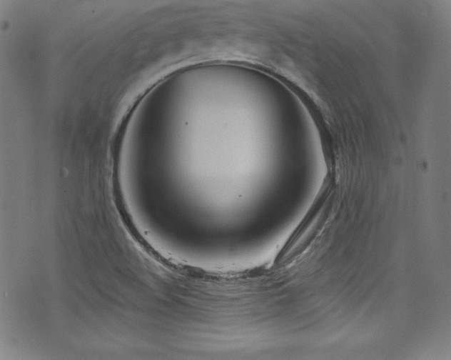 X0000073471508200607281229