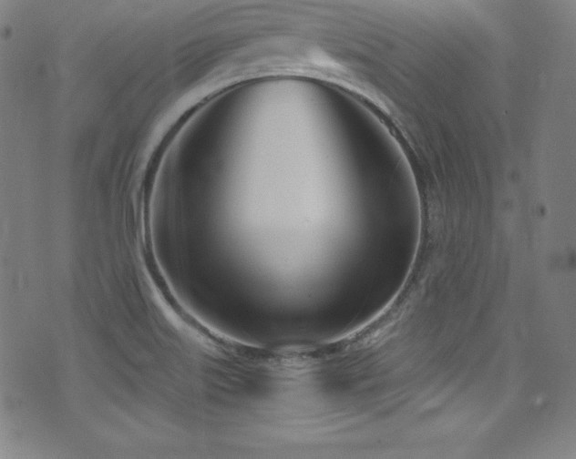 X0000073471515200607281230