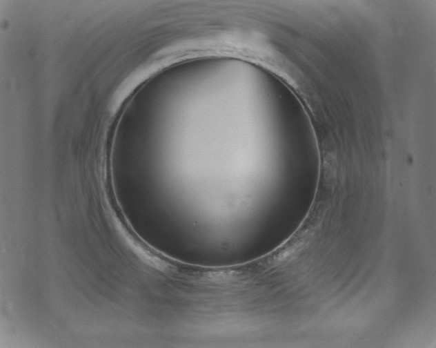 X0000073471523200607281230
