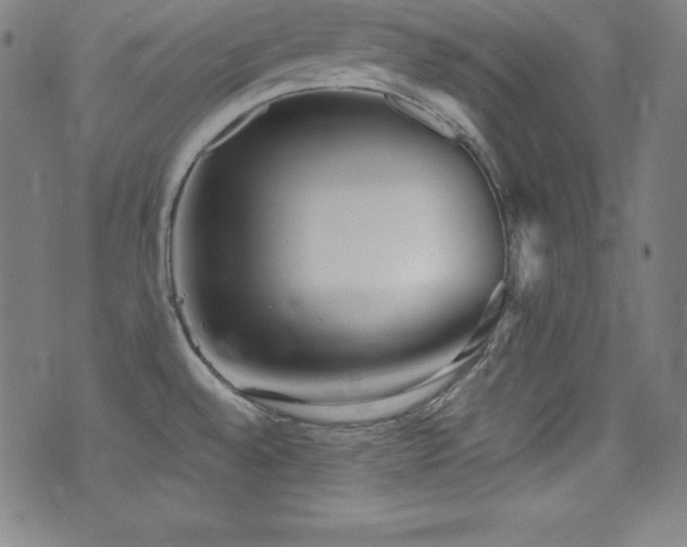 X0000073471528200607281230