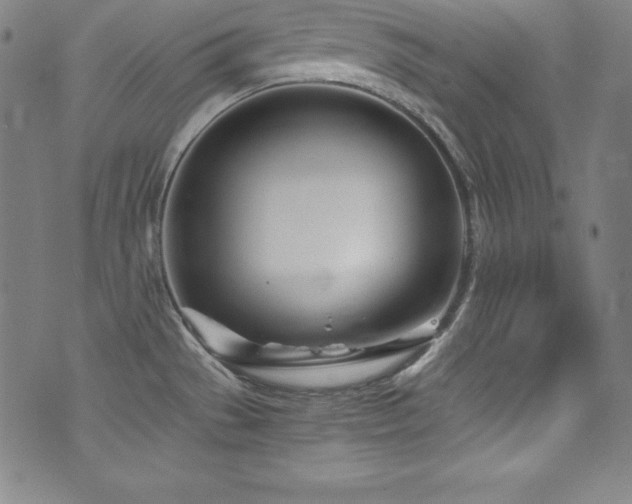 X0000073471529200607281230