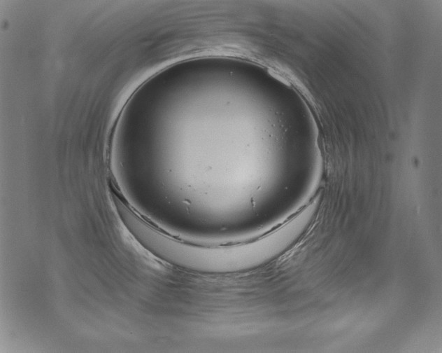 X0000073471532200607281230