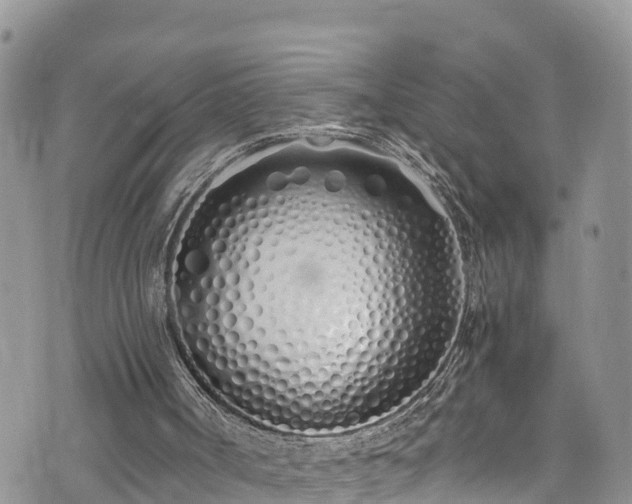 X0000073470002200608041129