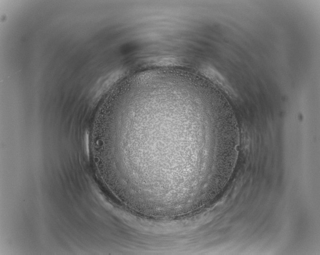 X0000073470014200608041129