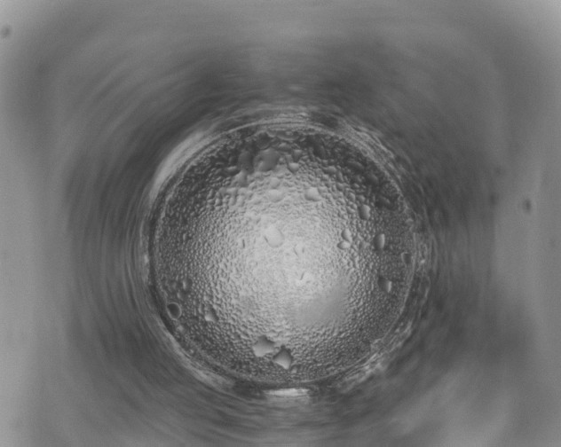 X0000073470053200608041128