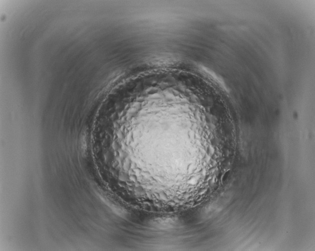 X0000073470065200608041128