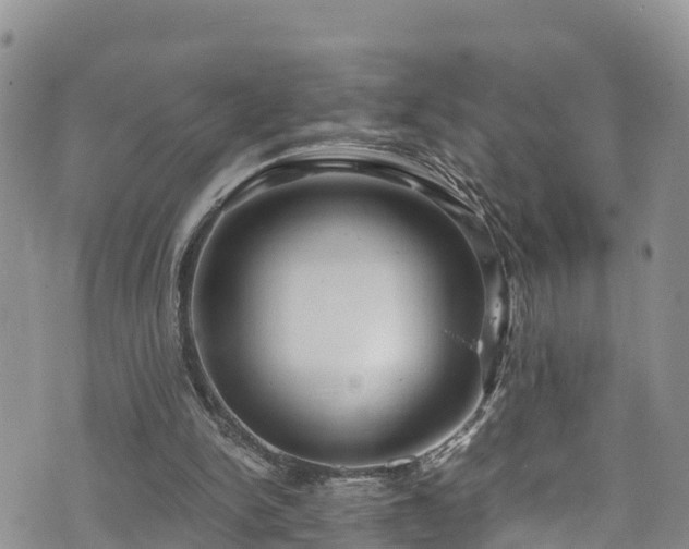 X0000073470150200608041126