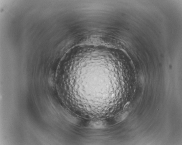 X0000073470181200608041127