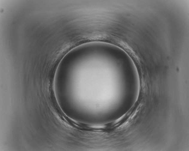 X0000073470201200608041126