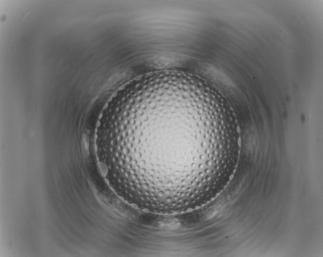 X0000073470214200608041126